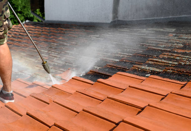 Best Concrete Pressure Washing  in Haslett, MI