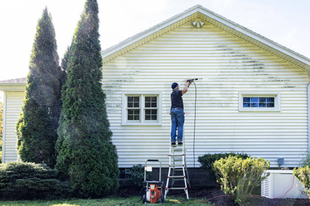 Best House Pressure Washing  in Haslett, MI
