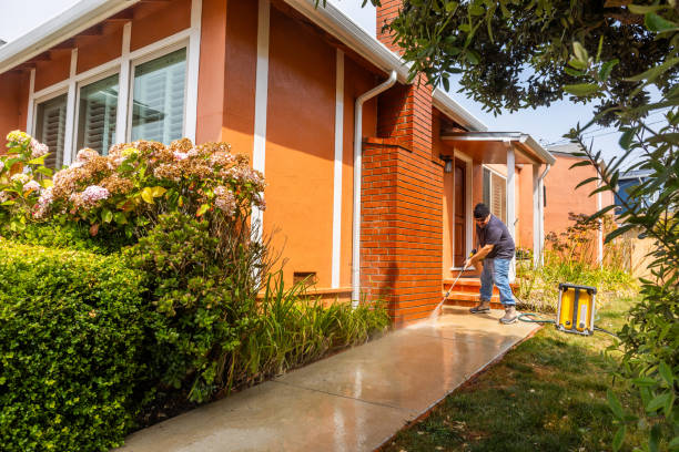 Best Affordable Pressure Washing  in Haslett, MI