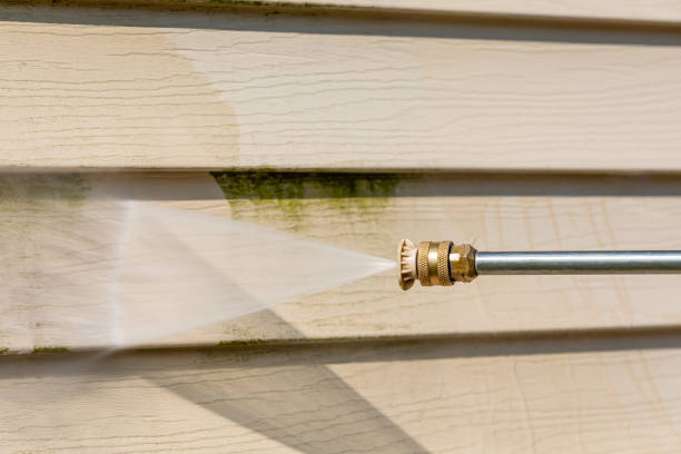 Best Roof Power Washing Services  in Haslett, MI